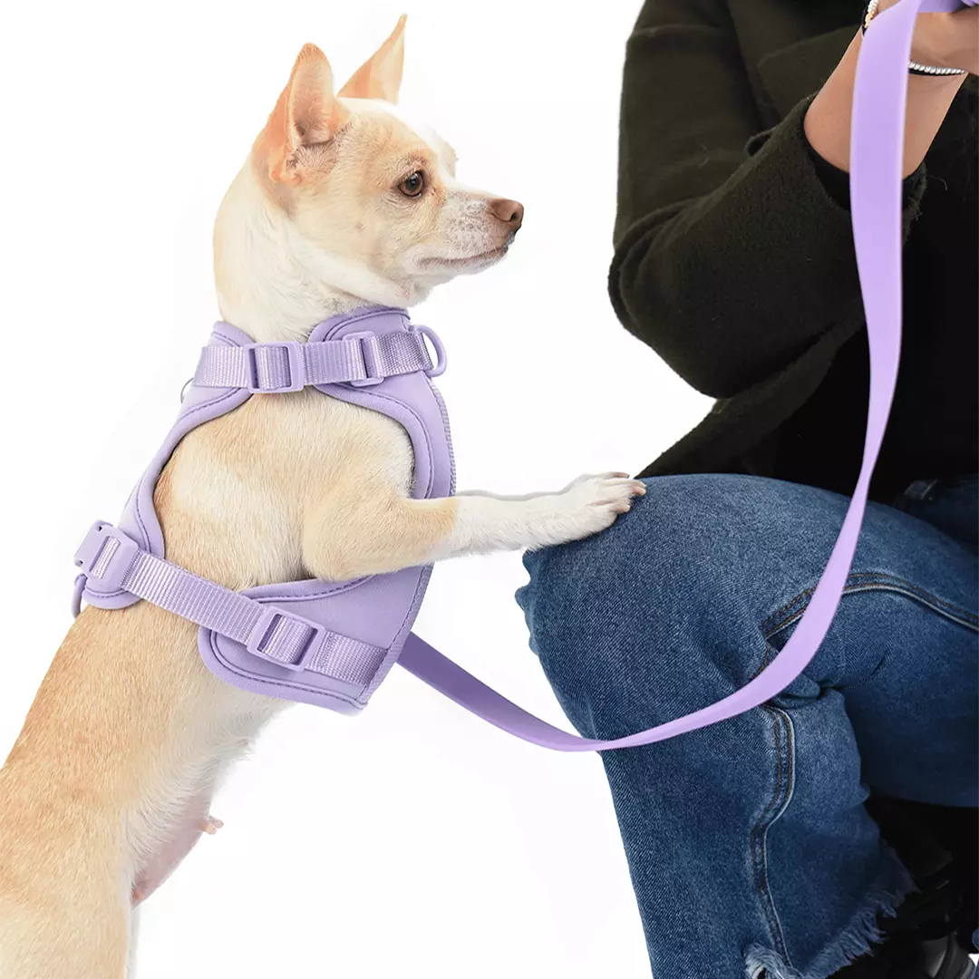 tinywow_DSC_1032_44_11zon_9792531