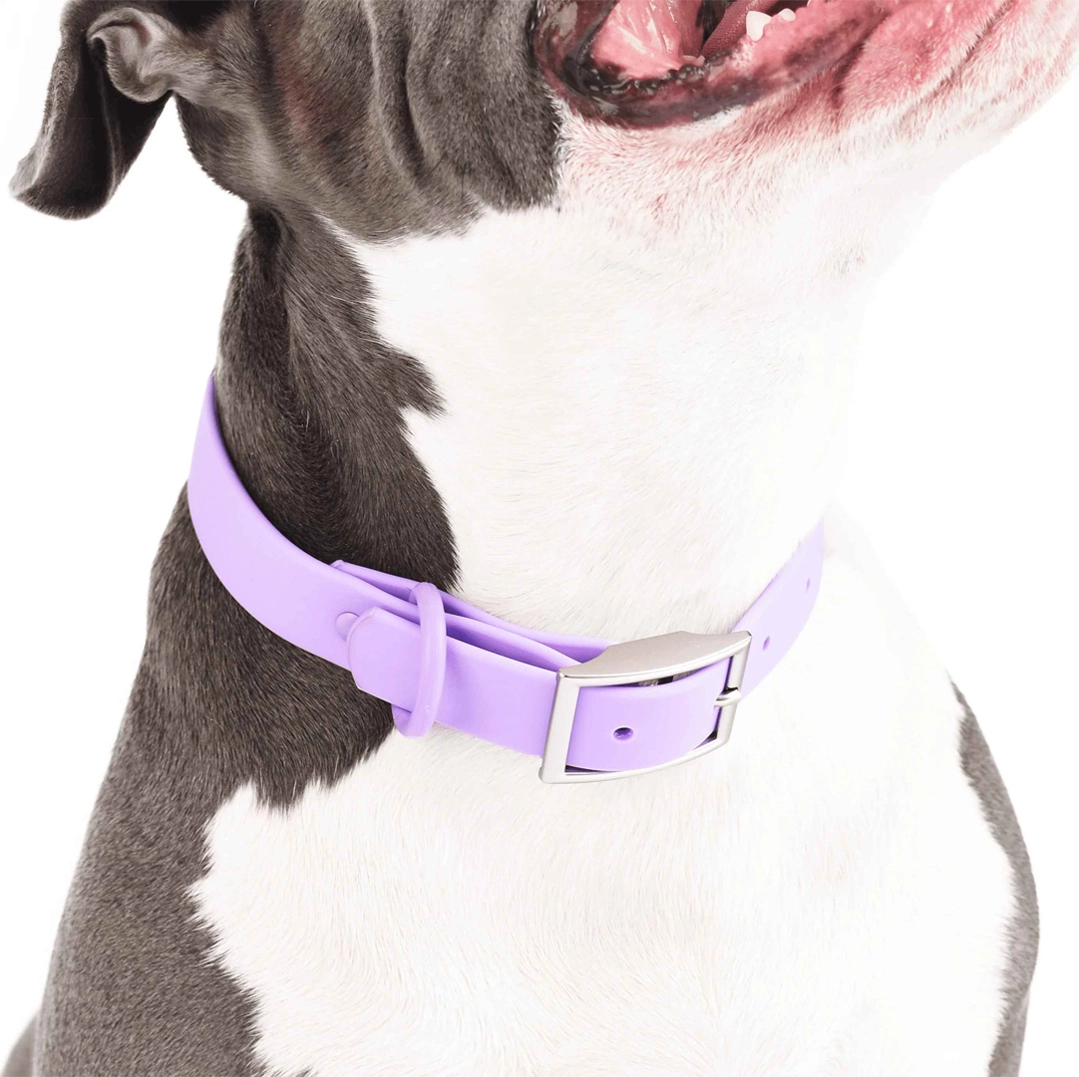 DSC_0025 CORTADO_58_11zon