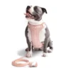 WALK KIT PECHERA WALK KIT PECHERA