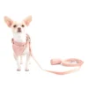WALK KIT PECHERA WALK KIT PECHERA