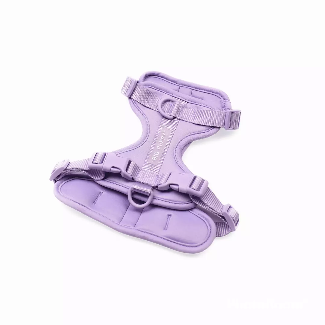 tinywow_DSC_0337_39_11zon-PhotoRoom_9734179