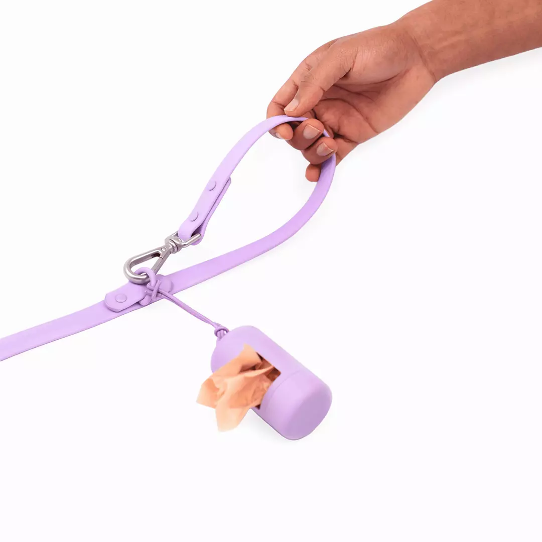 tinywow_DSC_0389_38_11zon-PhotoRoom_9735039